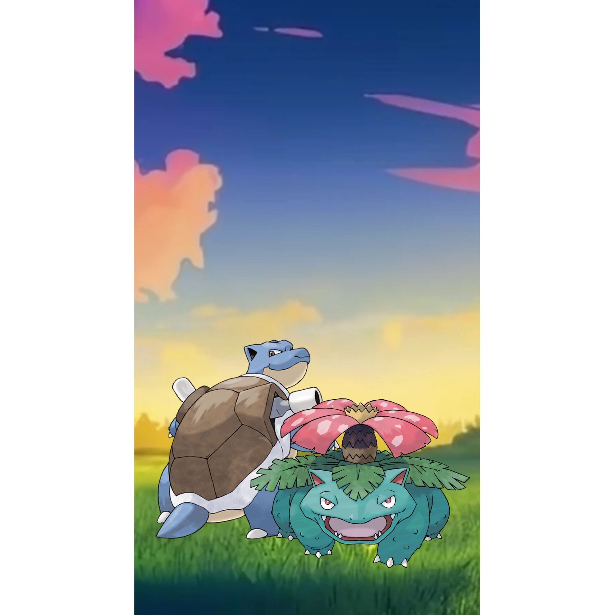 Pokemon - The Blastoise & Venusaur Collector (1 spot)