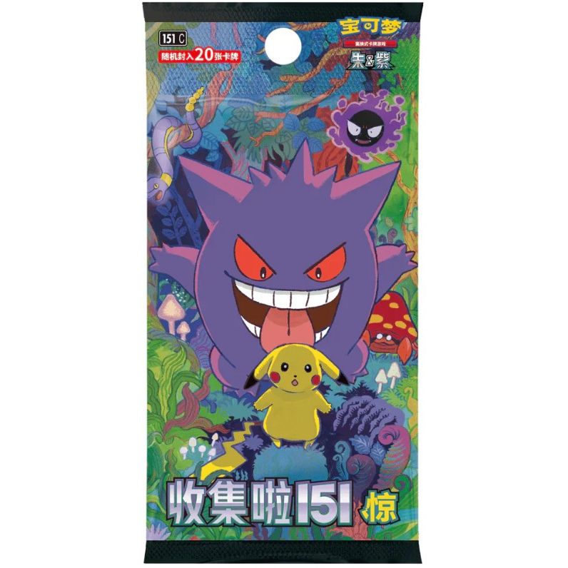 Pokemon - Surprise - Chinese Jumbo Booster Pack